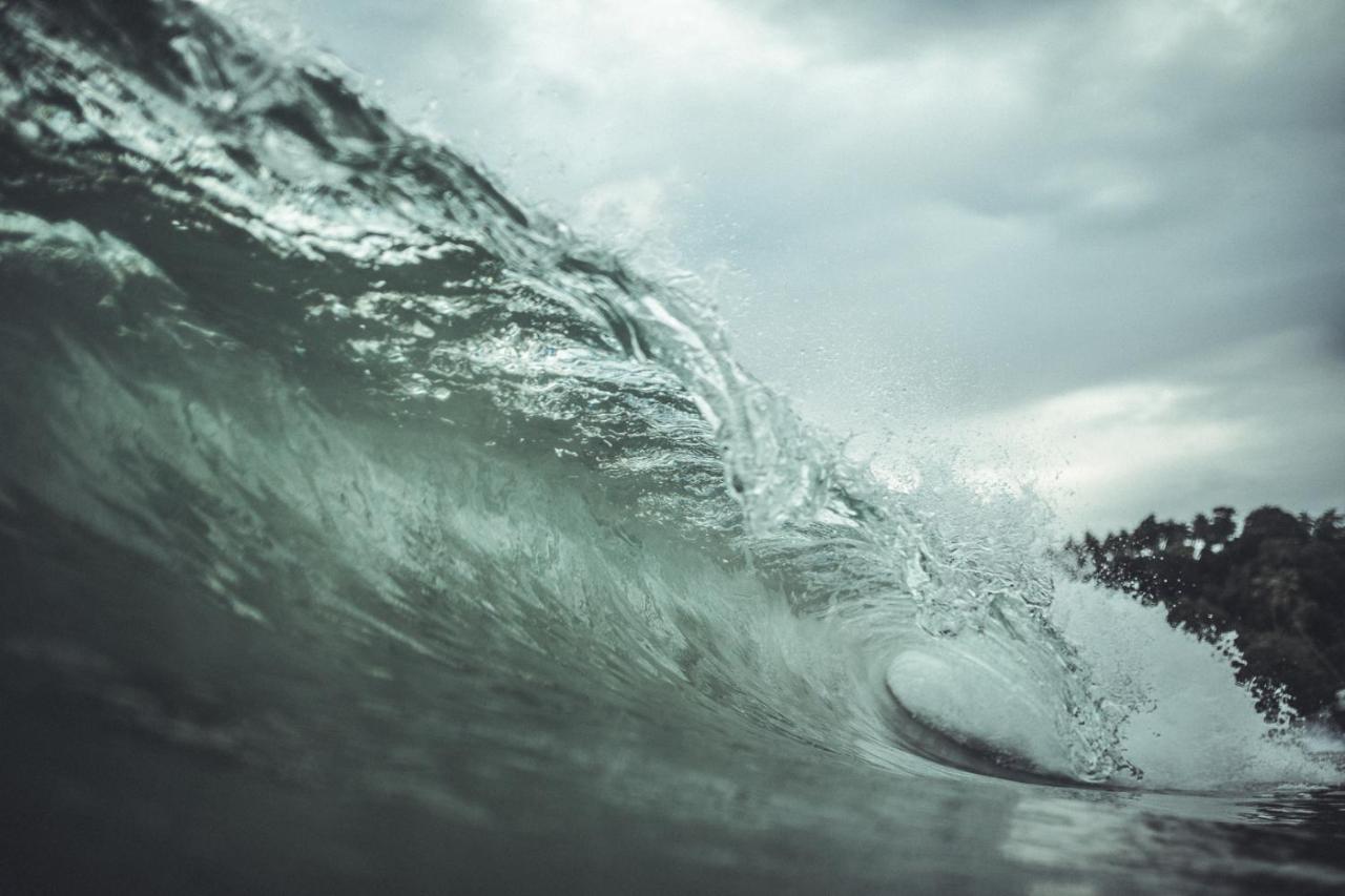 Surf & Yoga Sri Lanka - Surf Camp And Yoga Retreat With Coworking Space Mirissa Ngoại thất bức ảnh