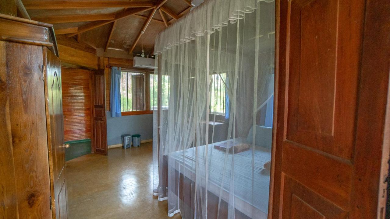 Surf & Yoga Sri Lanka - Surf Camp And Yoga Retreat With Coworking Space Mirissa Ngoại thất bức ảnh