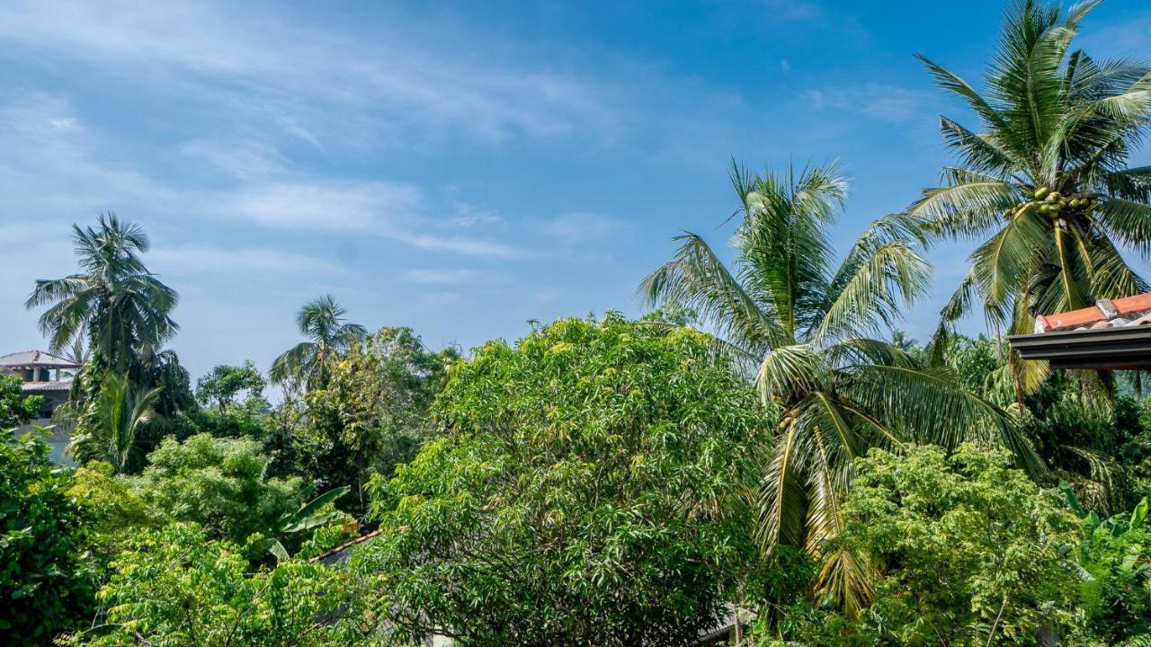 Surf & Yoga Sri Lanka - Surf Camp And Yoga Retreat With Coworking Space Mirissa Ngoại thất bức ảnh