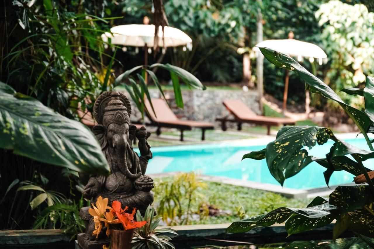 Surf & Yoga Sri Lanka - Surf Camp And Yoga Retreat With Coworking Space Mirissa Ngoại thất bức ảnh